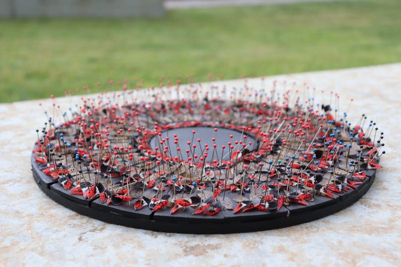 Artwork composed of dead spotted lanternflies, created for a community art project on display at Penn State Lehigh Valley