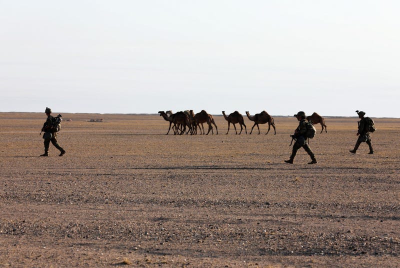 Soldiers move in a squad formation during the final, early morning hours of a tactical mission, as part of the unit's annual Spur Ride.