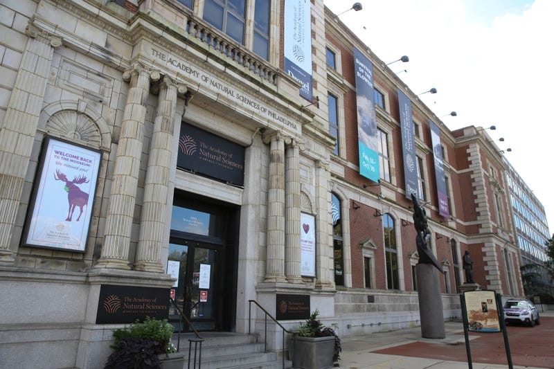 The Academy of Natural Sciences