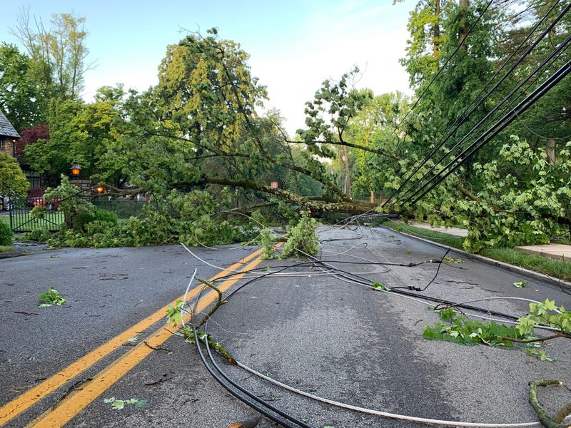 Storm damage on Remington Rd. off Lancaster Ave in Wynnewood