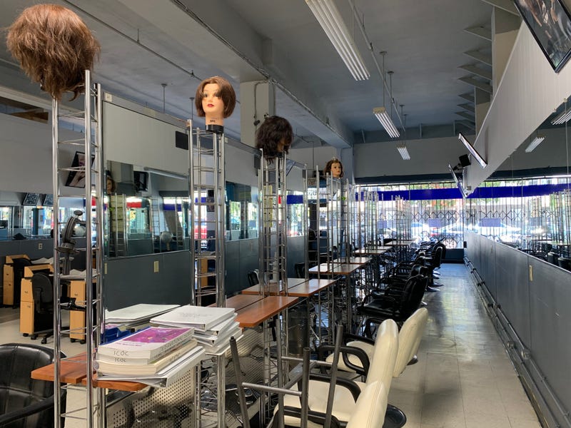 Hair stylists fresh out of school see opportunities vanish because of COVID-19