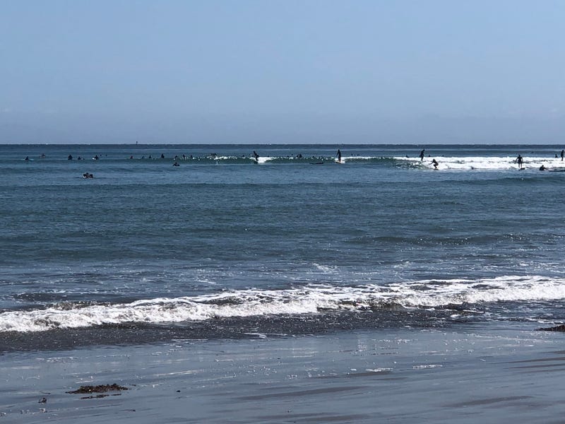 Surfers at Cowell's Beach in Santa Cruz