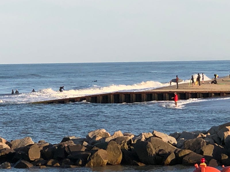 Surf's Up!