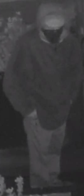 Suspect2