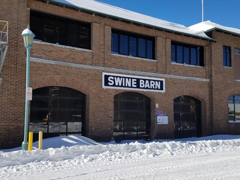 Swine Barn at the State Fair