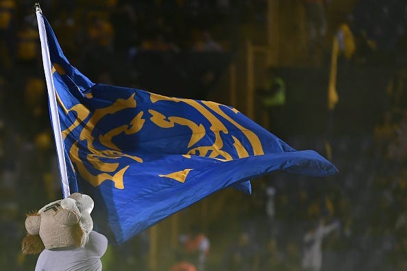 tigres