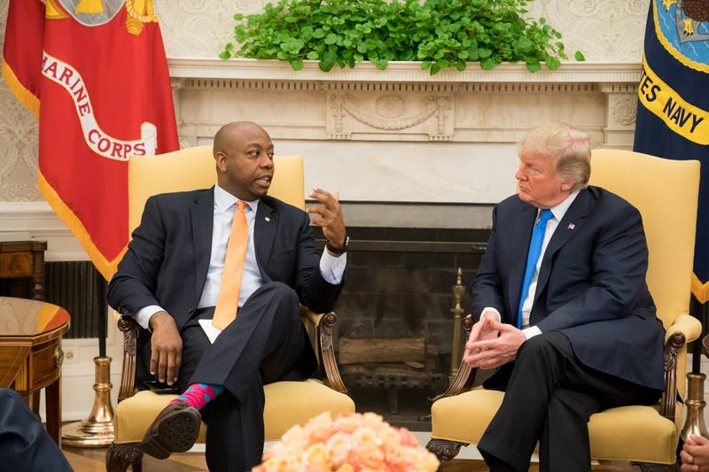 Senator Tim Scott