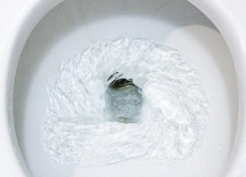toilet
