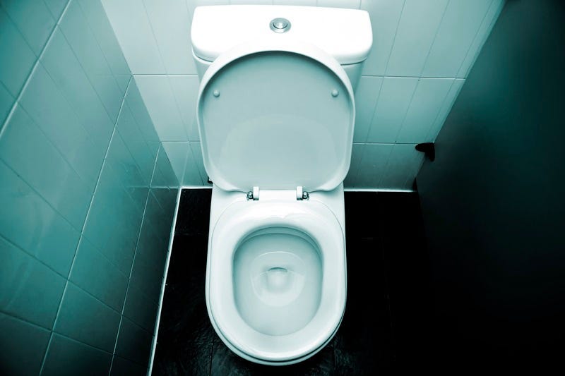 toilet