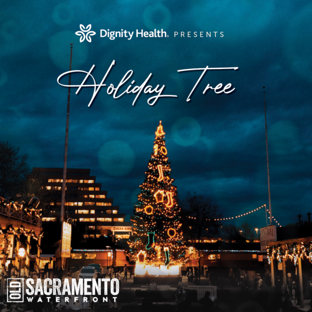 tree lighting sac