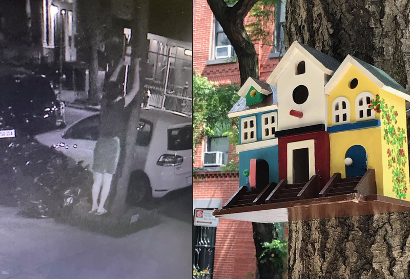 UES bird houses