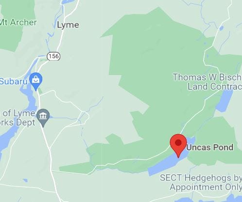 Uncas Pond, Nehantic State Forest, Lyme