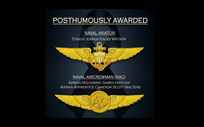 graphic depiction of the Naval Aviator and Naval Aircrewman pins posthumously awarded by Secretary of the Navy, Thomas B. Modly, to the victims of the Naval Air Station Pensacola shooting Dec. 6, 2019.