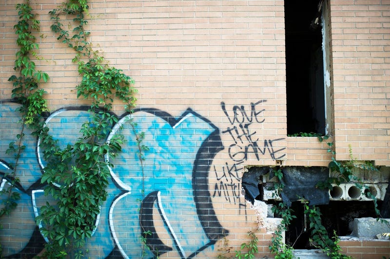 Graffiti covers the walls of crumbling buildings at the Camden Labs site, Aug. 15, 2018. The former toxic and illegal dumping site will be cleaned and cleared to make way for recreational open space.