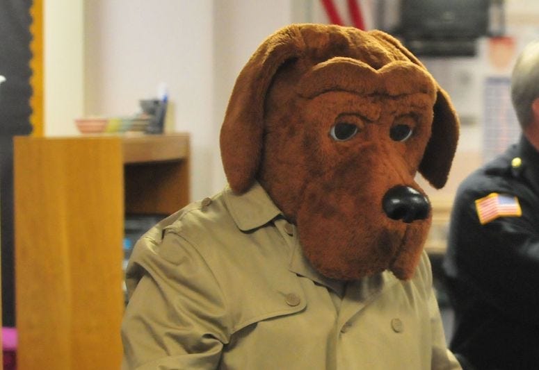 McGruff the Crime Dog, Kindergarten Class, Costume, 2018