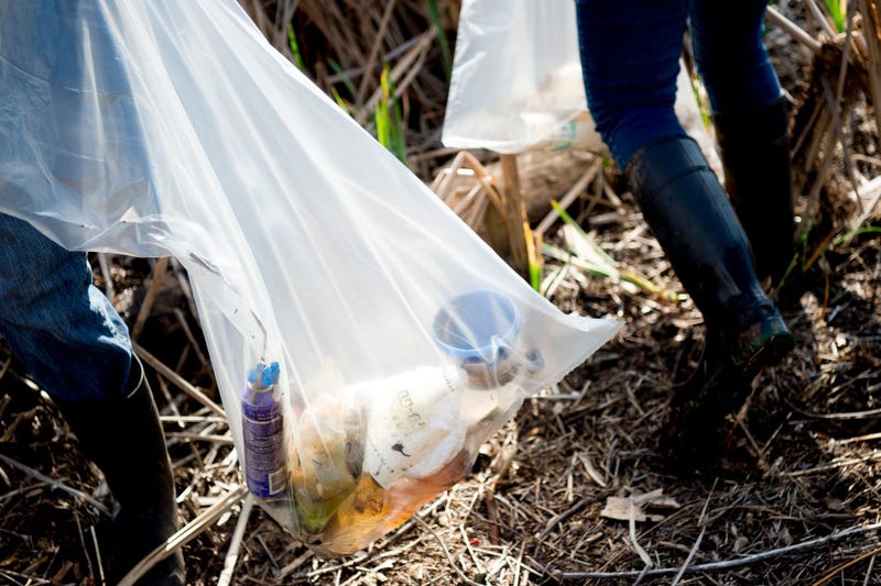 people removing litter trash