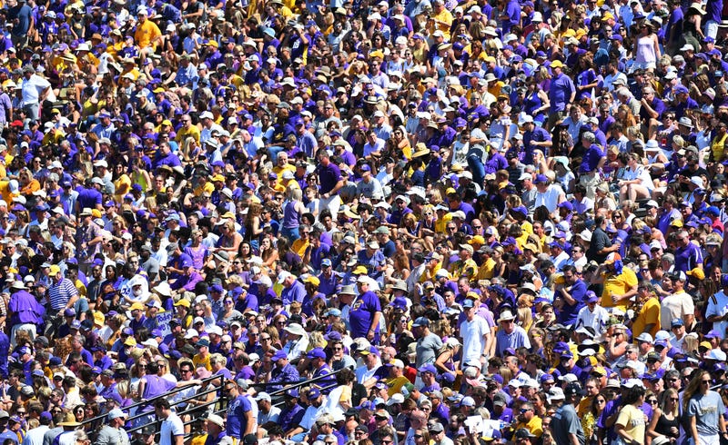 LSU Tigers fans look on from the stands during the first half against the Vanderbilt Commodores at Vanderbilt Stadium.