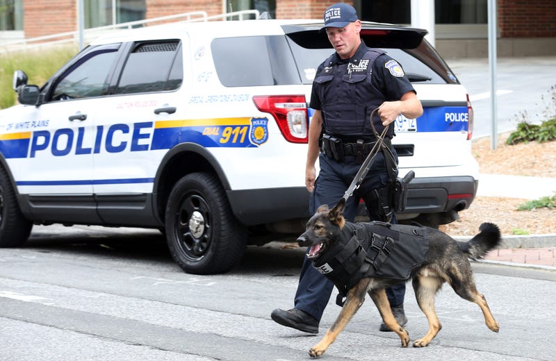 White Plains Police