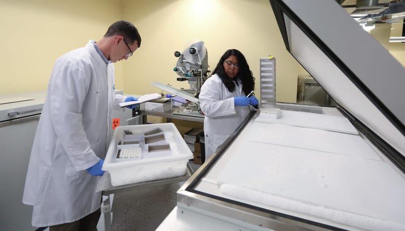 More good news about a Pfizer coronavirus vaccine
