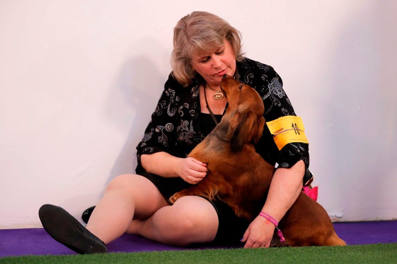 144th Annual Westminster Kennel Club Dog Show