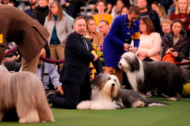 144th Annual Westminster Kennel Club Dog Show