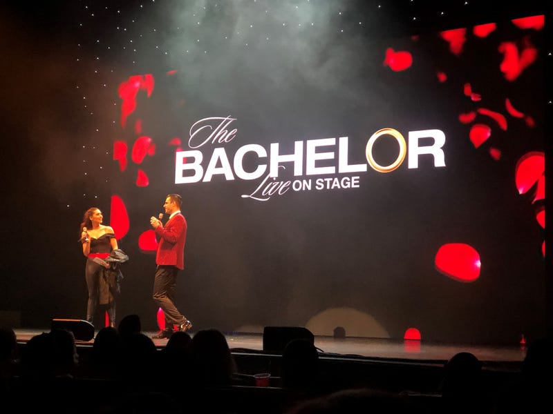 ABC Creating Bachelor Show For Seniors