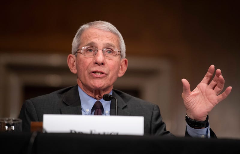 Dr. Fauci