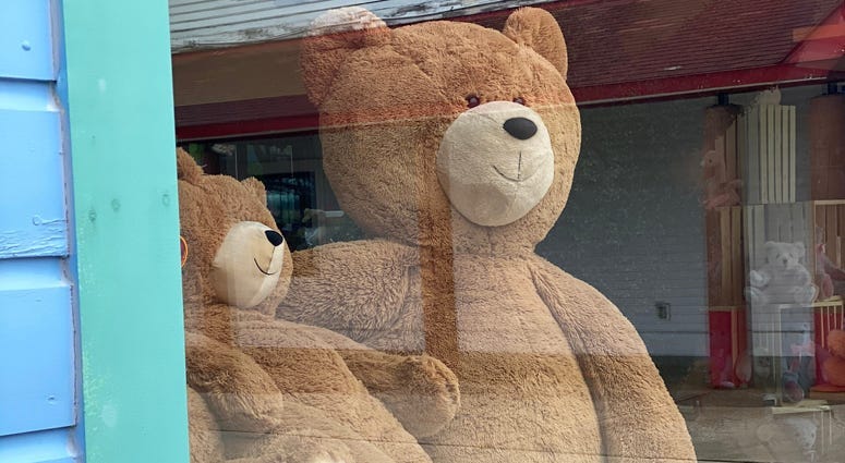 Vermont Teddy Bear