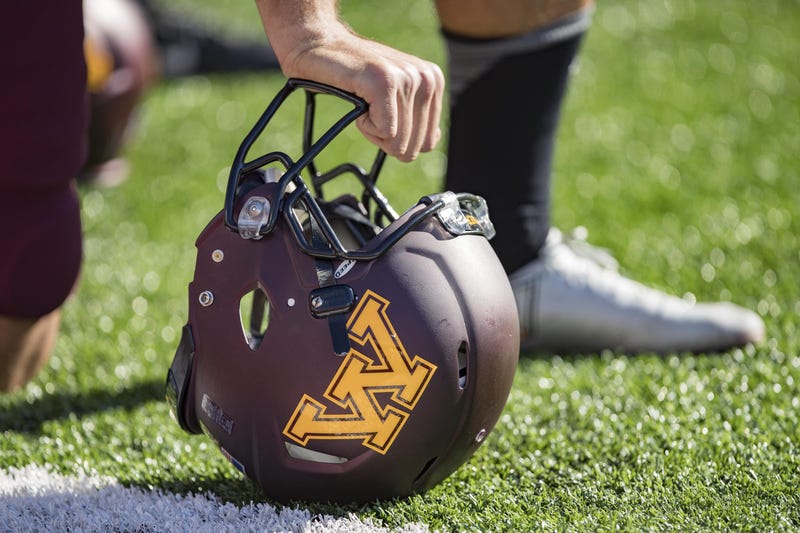 Gopher helmet