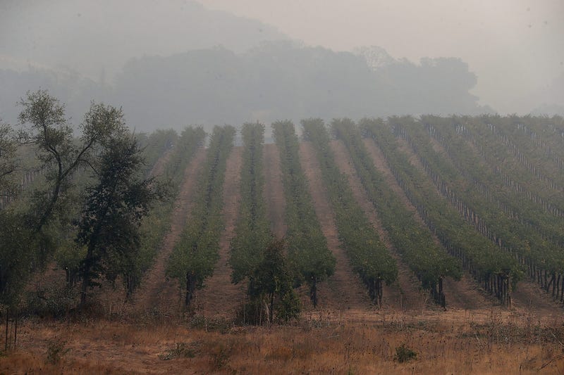 Grape growers are hoping for the best after weeks of smoke blanketed vineyards