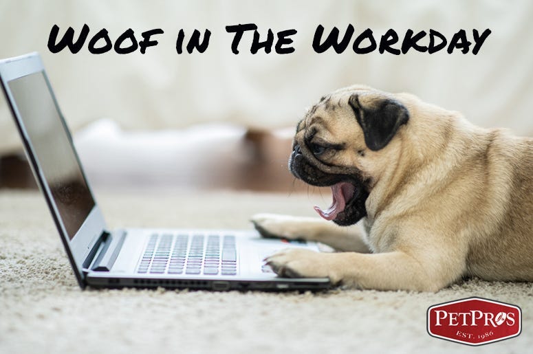 Woof In The Workday