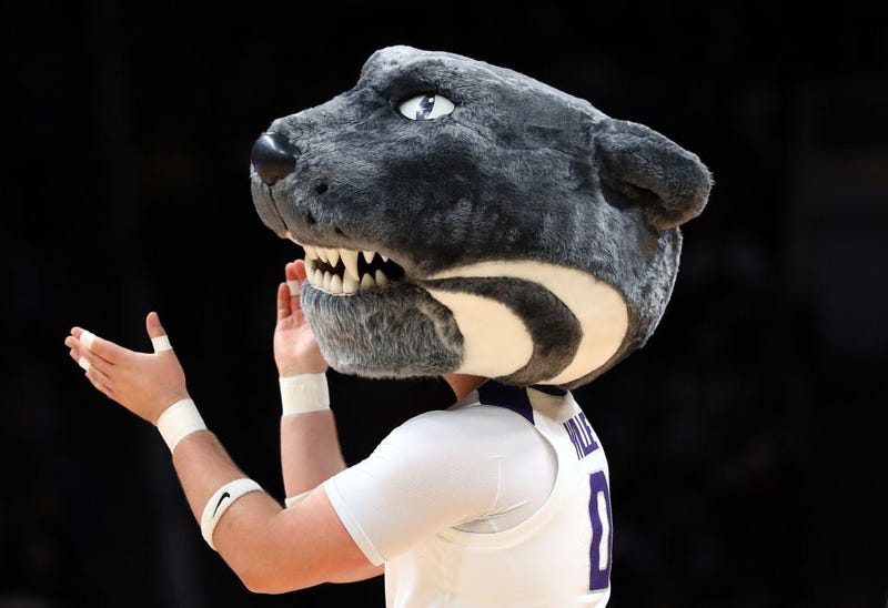 Kansas State mascot
