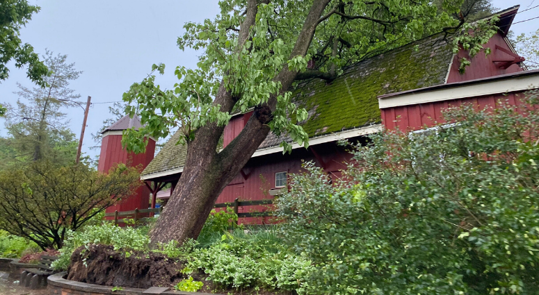 Elmwood Park Zoo
