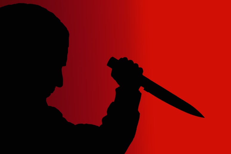 Murderer
