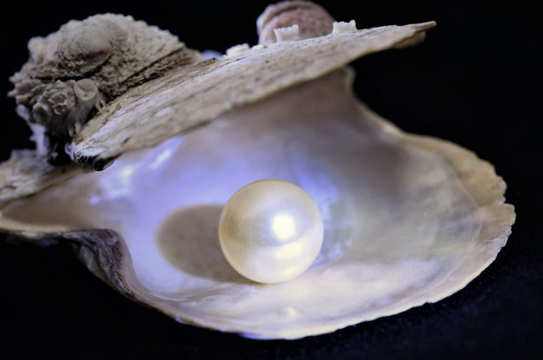 Oyster