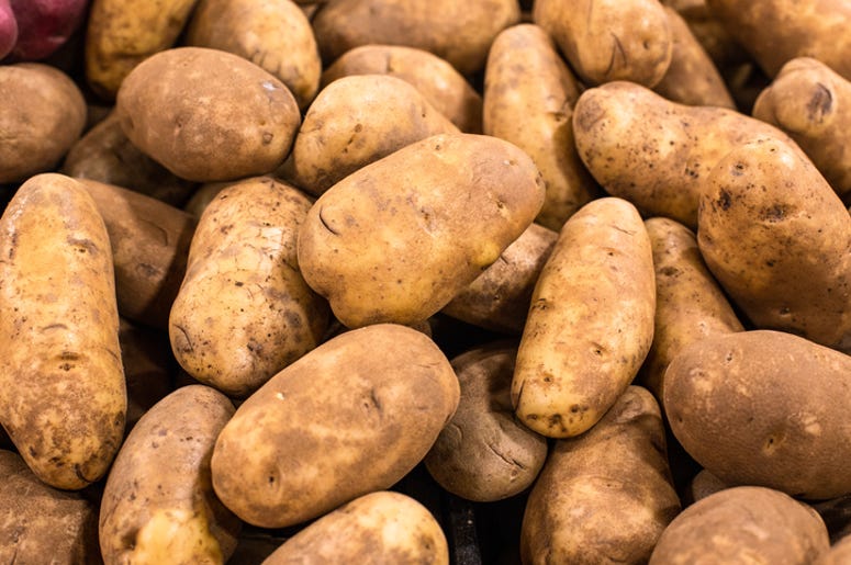 Potato