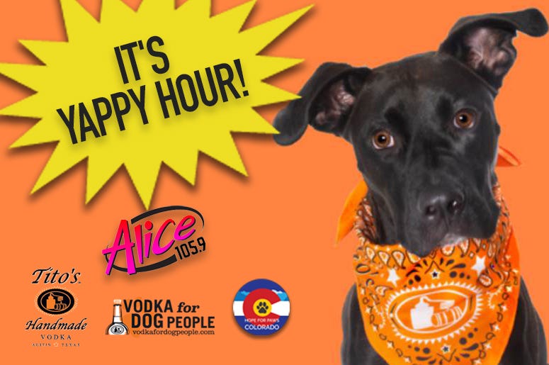 Yappy Hour