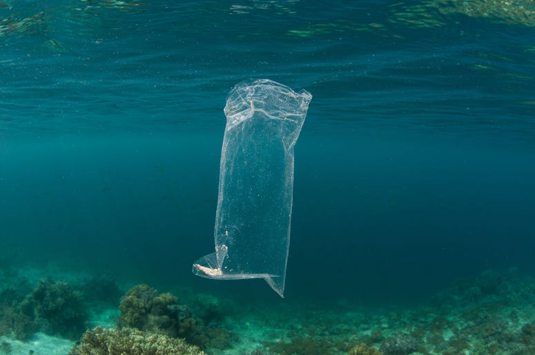 A single plastic bag in the ocean