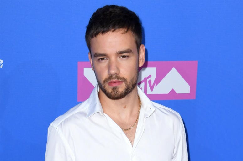 Liam Payne 8/22/2018 - Liam Payne arriving at the MTV Video Music Awards 2018, Radio City, New York.