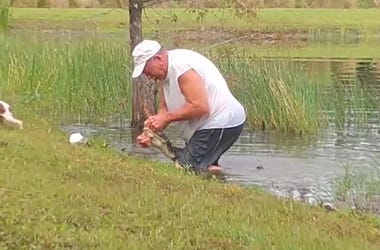 Osterlind: Man Saves Puppy From Alligator's Jaws