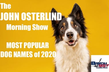 dog name
