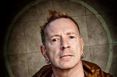 Sex Pistols singer says he has flea bite on his penis after befriending squirrels