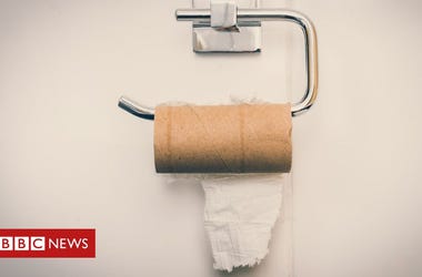 Toilet Paper Poem