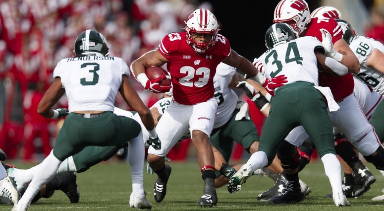 Badgers