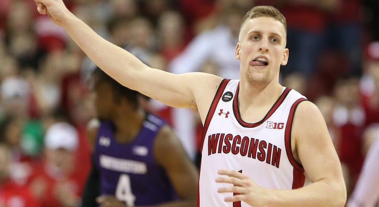 badgers