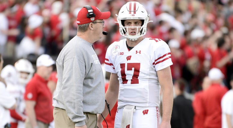 badgers