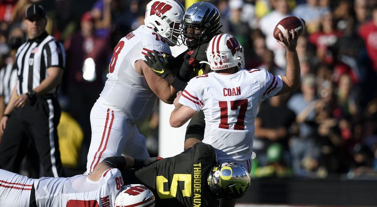 badgers
