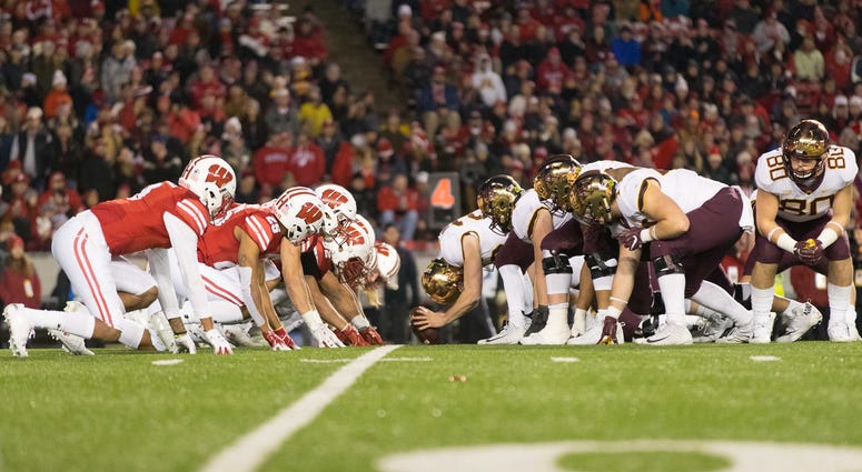 badgers
