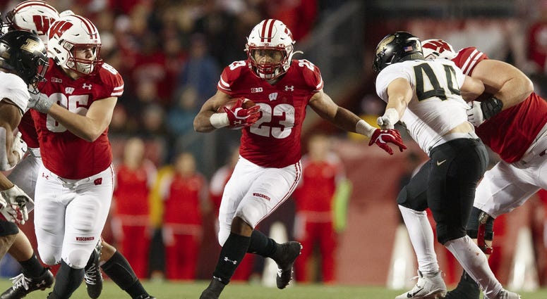 badgers