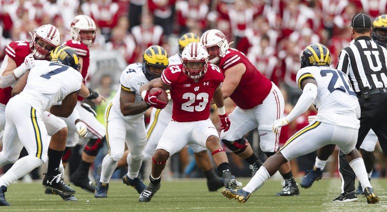 badgers